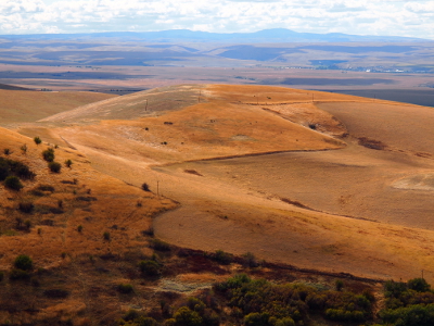 [Hills of wheat-colored vegetation with a few dark green trees visible scattered throughout.]